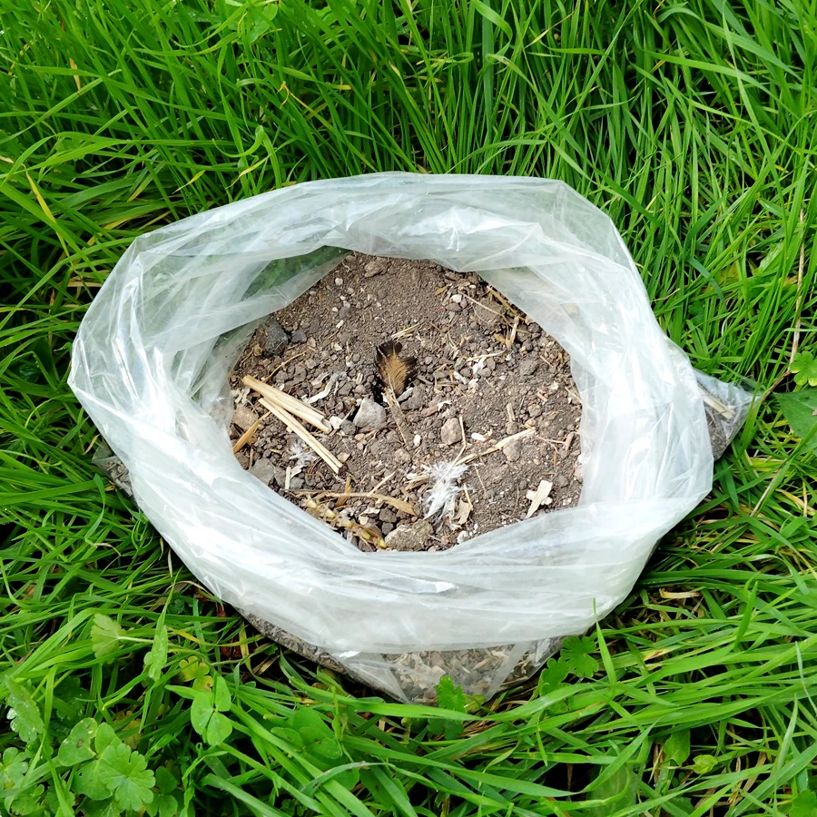Sac de terre de jardin avec plume, paille, fiente de poule et autres éléments indéterminés...